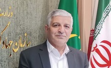 رئیس سازمان